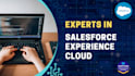 build, design and customize salesforce experience cloud