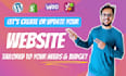 revamp, rebuild, update or clone wordpress website