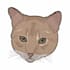embroidery digitizing into dst,pes,jef in 1 hour