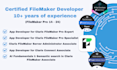 design automate custom filemaker, filemaker integration, filemaker developer