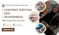 expert content writer for blogs, articles, landing pages and product description
