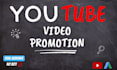 professional organic youtube video promotion with google ads
