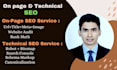 perform on page and technical SEO for your website