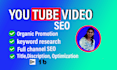 do optimize your youtube channel and video SEO