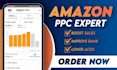 setup manage and optimize amazon PPC ads campaign