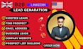 do b2b lead generation, linkedin leads and targeted leads