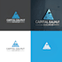 make a creative accounting and financial logo design
