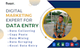 do professional data entry, data scraping, copy paste, data mining services