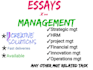 write strategic, operation, project management essays