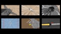 do best professional storyboard for you