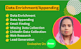 data appending, enrichment, and data entry