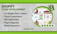 be your shopify theme developer and shopify store specialist