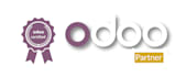 become your erp, odoo consultant and engineer