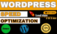 speed up wordpress for google, fix slow website