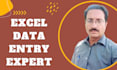 do data entry in low price