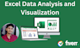 provide excel data analysis and visualisations