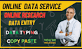 do online research, data typing, and excel data analysis job