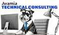 provide technical consulting for your custom web app