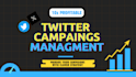 setup twitter ads campaign