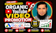 do organic youtube video promotion through google ads campaign