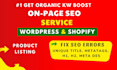 do shopify, wordpress on page SEO optimization service
