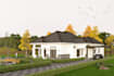 do landscape, front, backyard, pool, patio 3d design and render