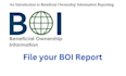 file your beneficial ownership information reporting