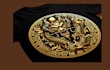 do would like a gold chinese dragon tshirt logo  design creative