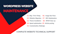 provide wordpress website maintenance and support