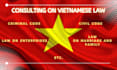 advise on vietnamese law