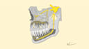 do medical sketch , illustration or medial animation