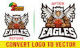 convert your logo into high resolution vector file