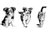 draw your any pet black and white silhouette, line art, stencil art