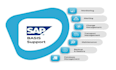 assist you with sap b1 administration, b1 reporting and b1 analysis task