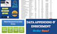 do data enrichment and data entry