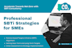 help businesses set sbti and net zero targets