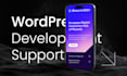 wordpress development and support