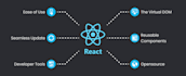 create reactjs web applications
