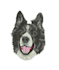 do professional embroidery digitizing logo to dst pes flawless 3d puff