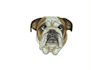 professionally digitize your logo for 3d puff and flat embroidery