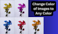 change the colors of objects in the images