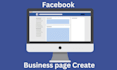 professional facebook business page creation and optimize