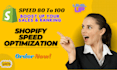 do shopify speed optimization, increase shopify website speed