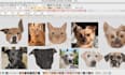 create embroidery digitizing your dog, cat, and pet face within one hour