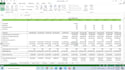 financial modeling analysis along business consultancy