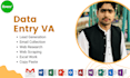 do data entry VA, email collection, lead generation and web research