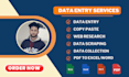 do provide data entry, b2b lead generation, and web research