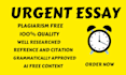 write and edit urgent essays