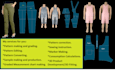 create custom sewing patterns and grading in PDF and dxf formats
