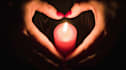 cast a powerful love spell  express